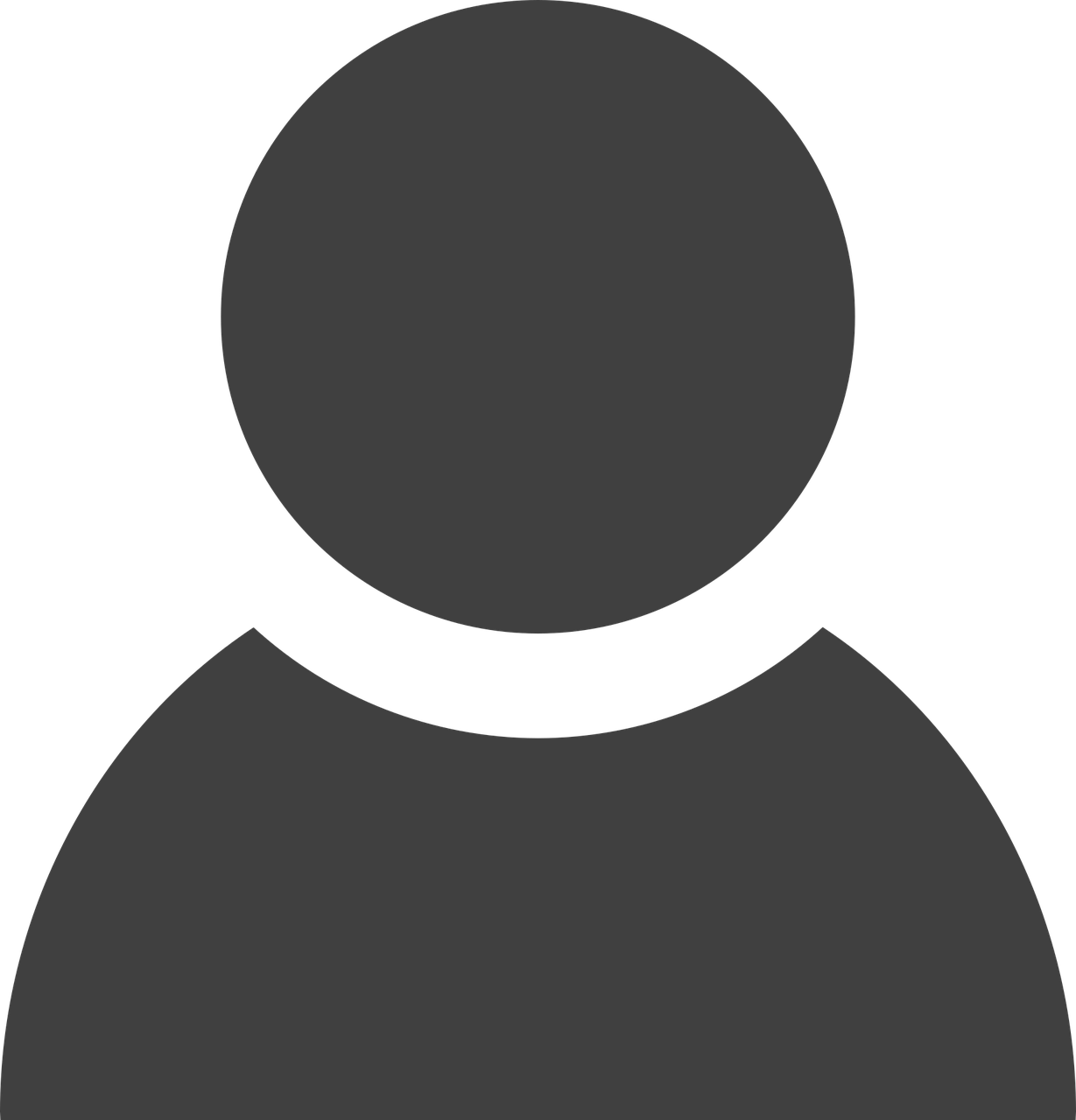 Vice President - HR Strategies and Innovation